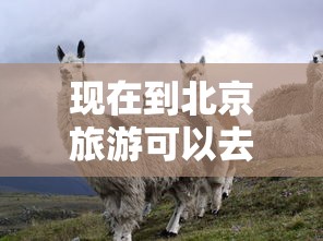现在到北京旅游可以去吗/现在能去北京旅游吗?当地的疫情咋样?