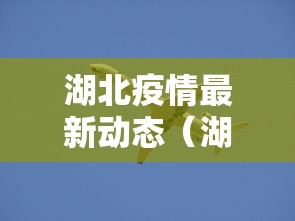 湖北疫情最新动态(湖北疫情最新动态消息) 湖北疫情最新动态(湖北疫情最新动态消息)