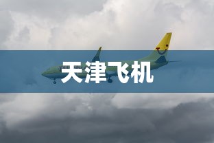 天津飞机