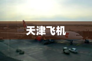 天津飞机 天津飞机