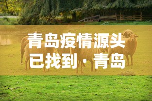 青岛疫情源头已找到 · 青岛疫情源头查明