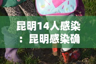 昆明14人感染:昆明感染确诊 昆明14人感染:昆明感染确诊