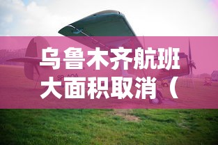 乌鲁木齐航班大面积取消（乌鲁木齐 航班取消）