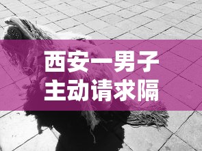 西安一男子主动请求隔离未果:西安一隔离人员出逃 西安一男子主动请求隔离未果:西安一隔离人员出逃