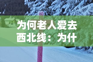 为何老人爱去西北线：为什么老人住西北