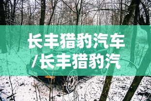 长丰猎豹汽车/长丰猎豹汽车模型