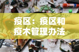 疫区：疫区和疫木管理办法