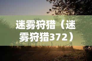 迷雾狩猎（迷雾狩猎372）