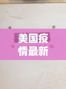 美国疫情最新数字 美国疫情最新数字