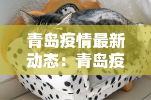 青岛疫情最新动态：青岛疫情最新通报今天详情