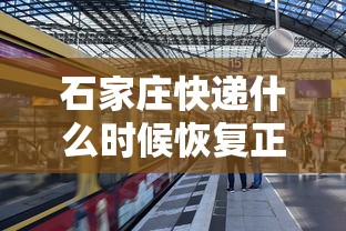 石家庄快递什么时候恢复正常/石家庄快递何时正常 石家庄快递什么时候恢复正常/石家庄快递何时正常