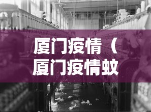 厦门疫情（厦门疫情蚊子）
