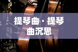 提琴曲 · 提琴曲沉思
