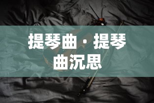 提琴曲 · 提琴曲沉思