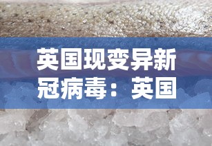 英国现变异新冠病毒：英国又现变异新冠病毒