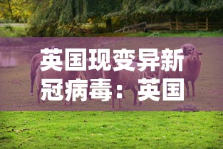 英国现变异新冠病毒:英国又现变异新冠病毒 英国现变异新冠病毒:英国又现变异新冠病毒