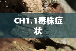CH1.1毒株症状 CH1.1毒株症状