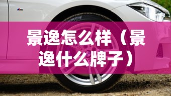 景逸怎么样（景逸什么牌子）