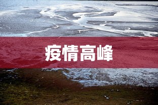 疫情高峰