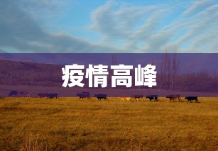 疫情高峰