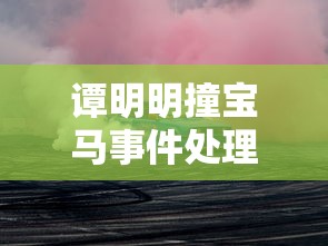 谭明明撞宝马事件处理结果2020年11月16(谭明明案被撞宝马司机) 谭明明撞宝马事件处理结果2020年11月16(谭明明案被撞宝马司机)