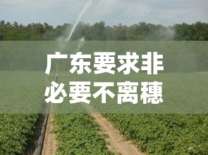 广东要求非必要不离穗 · 广州一区通告非必要不外出 广东要求非必要不离穗 · 广州一区通告非必要不外出