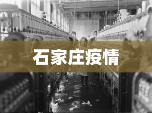 石家庄疫情