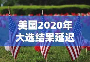 美国2020年大选结果延迟出炉/2020美国大选最终票数