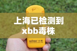 上海已检测到xbb毒株
