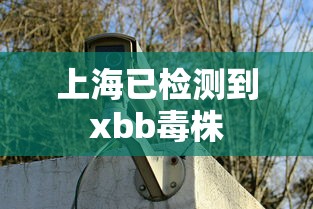 上海已检测到xbb毒株 上海已检测到xbb毒株