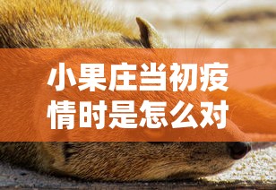 小果庄当初疫情时是怎么对待动物的/小果庄当初疫情时是怎么对待动物的呢