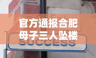 官方通报合肥母子三人坠楼身亡：合肥母亲