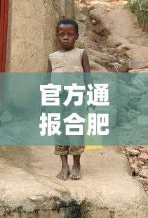 官方通报合肥母子三人坠楼身亡:合肥母亲 官方通报合肥母子三人坠楼身亡:合肥母亲