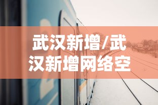 武汉新增/武汉新增网络空间安全学院