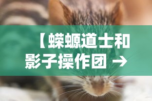 【蝾螈道士和影子操作团 → 蝾螈道士和影子操作团金泰妍】