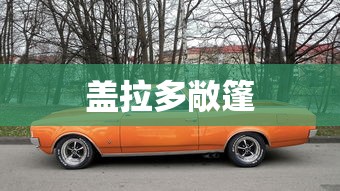盖拉多敞篷