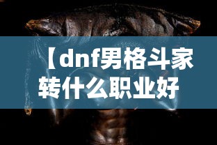 【dnf男格斗家转什么职业好 → 地下城男格斗家哪个职业好玩】 【dnf男格斗家转什么职业好 → 地下城男格斗家哪个职业好玩】