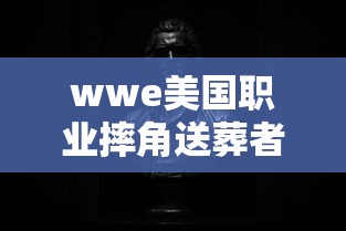 wwe美国职业摔角送葬者：WWE送葬者比赛