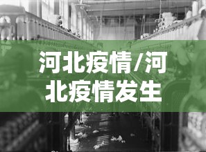 河北疫情/河北疫情发生始末