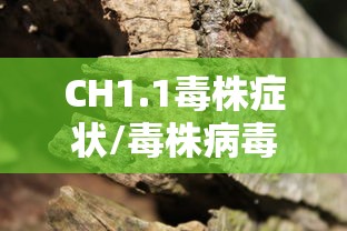 CH1.1毒株症状/毒株病毒感染的症状有哪些