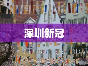 深圳新冠