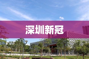 深圳新冠