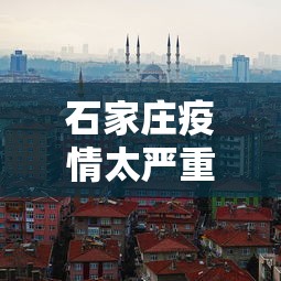 石家庄疫情太严重了/石家庄疫情太严重了会封城吗