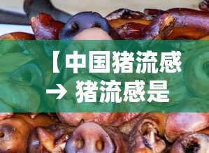【中国猪流感 → 猪流感是哪年】