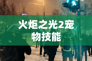 火炬之光2宠物技能 火炬之光2宠物技能