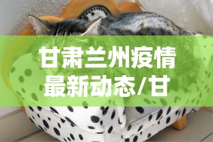 甘肃兰州疫情最新动态/甘肃兰州疫情最新动态消息