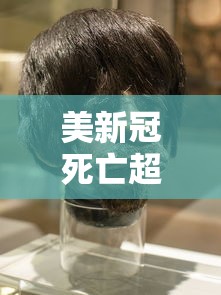 美新冠死亡超50万/美国新冠死亡比例