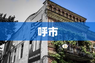 呼市