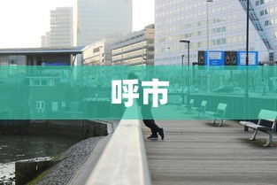 呼市