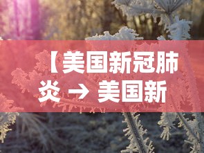 【美国新冠肺炎 → 美国新冠肺炎超2920万例】 【美国新冠肺炎 → 美国新冠肺炎超2920万例】